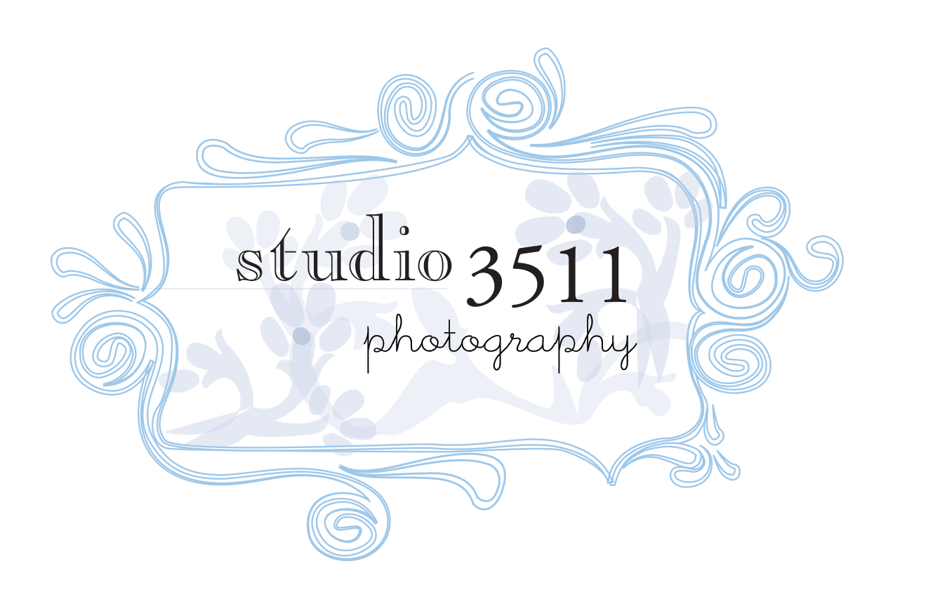 Studio 3511 Prints