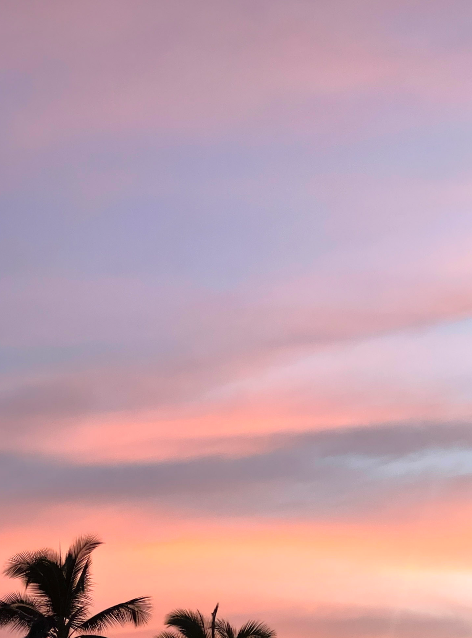 11x14 white matte with 8x10 image (one)