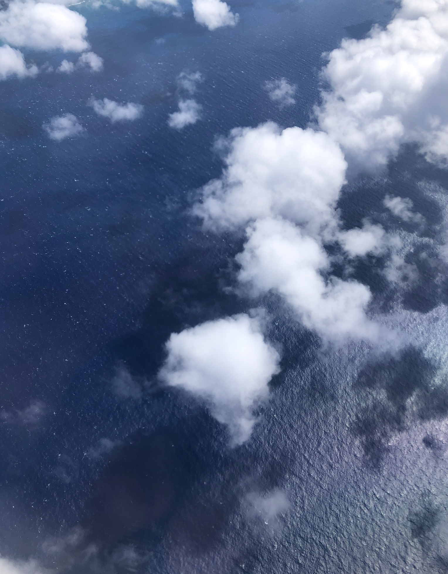 11x14 white matte with 8x10 image (one)