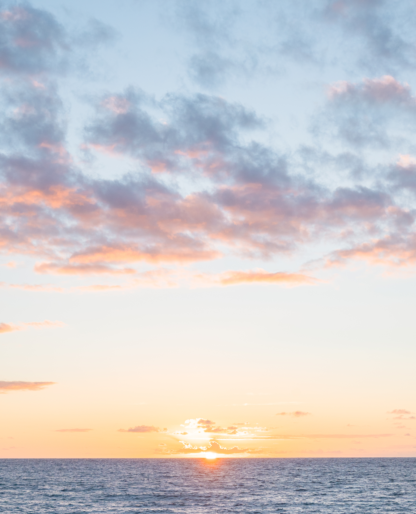 11x14 white matte with 8x10 image (one)