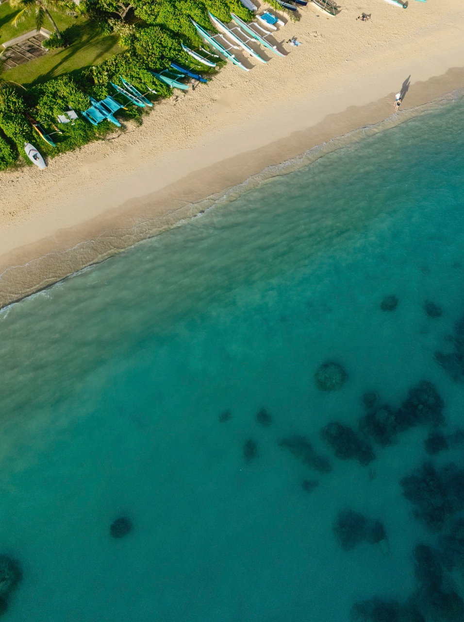 11x14 white matte with 8x10 image (one)