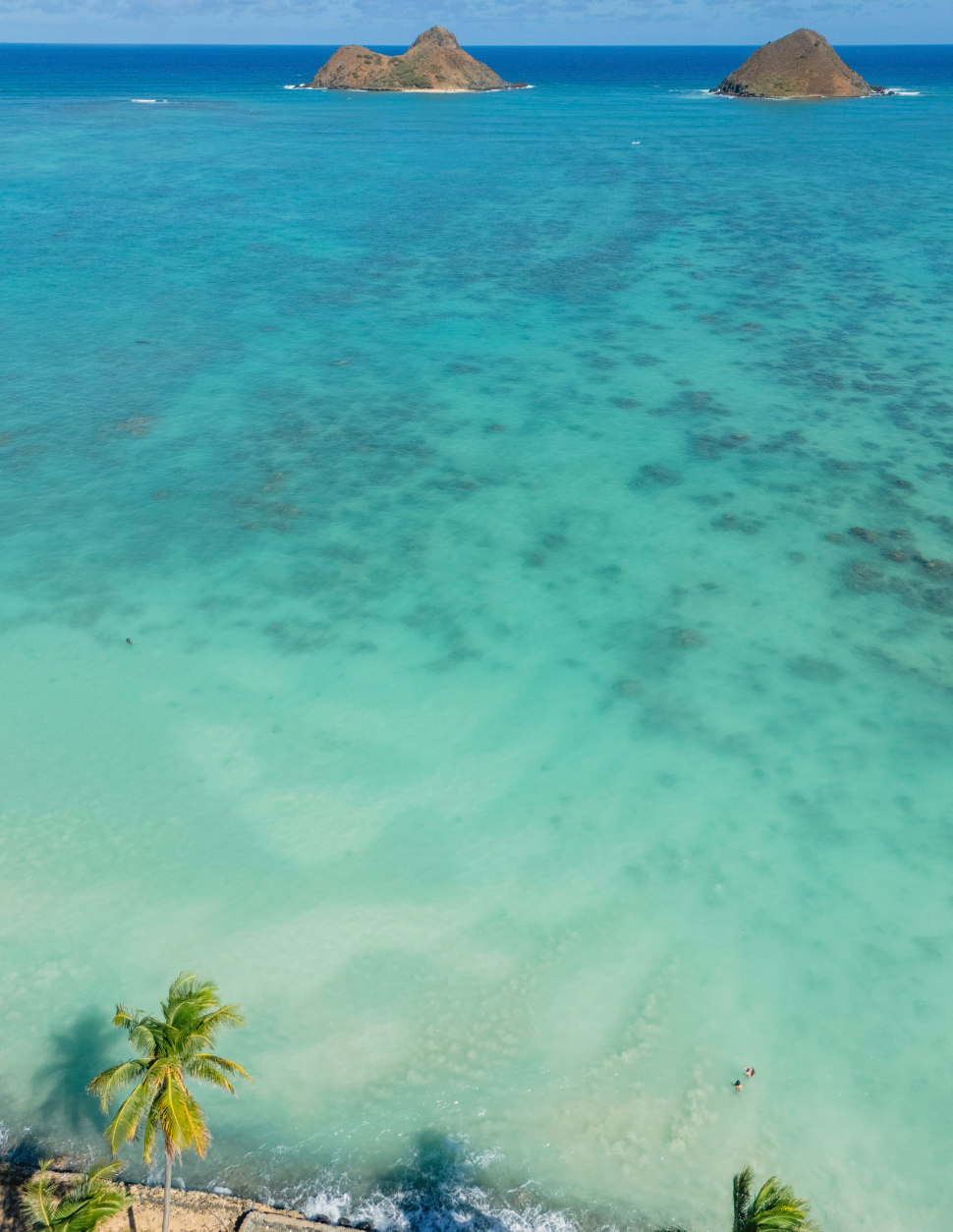 11x14 white matte with 8x10 image (one)