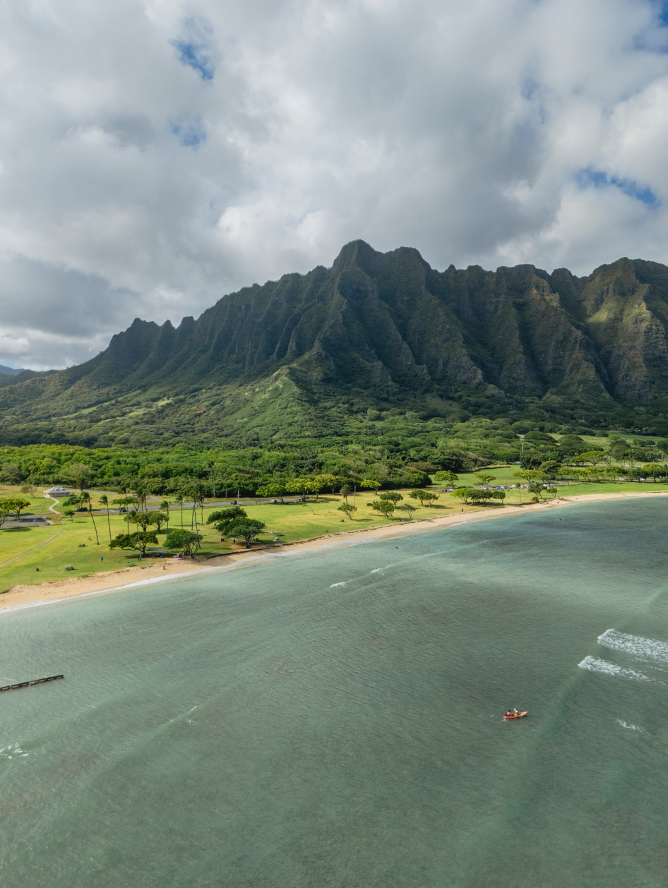 11x14 white matte with 8x10 image (one)