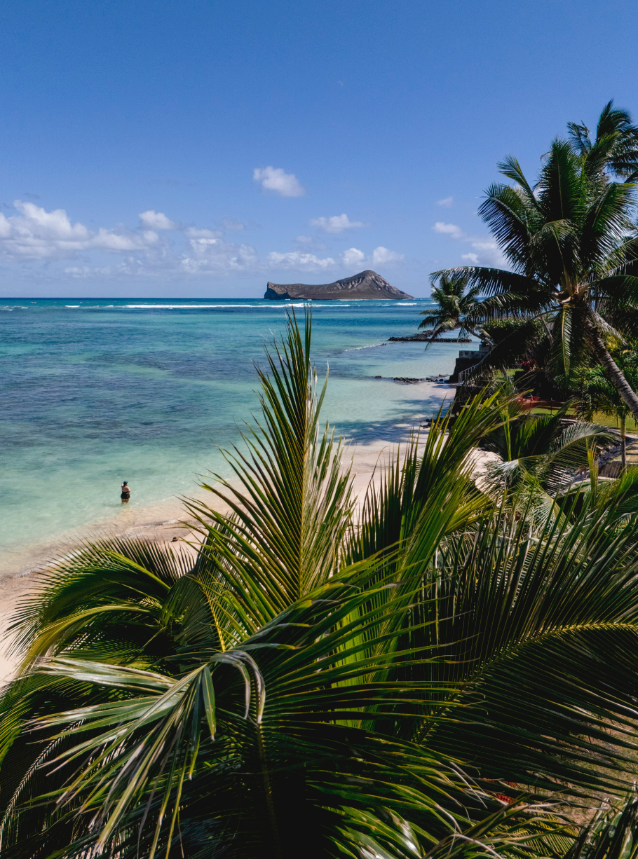 11x14 white matte with 8x10 image (one)