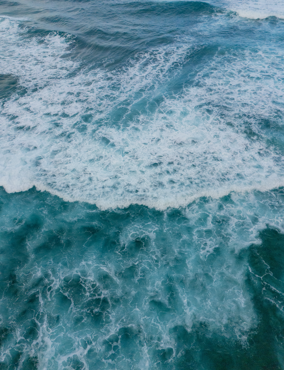 11x14 white matte with 8x10 image (one)