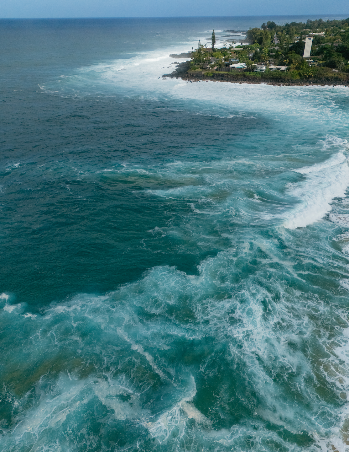 5x7 inch photo card with blank backside (one)