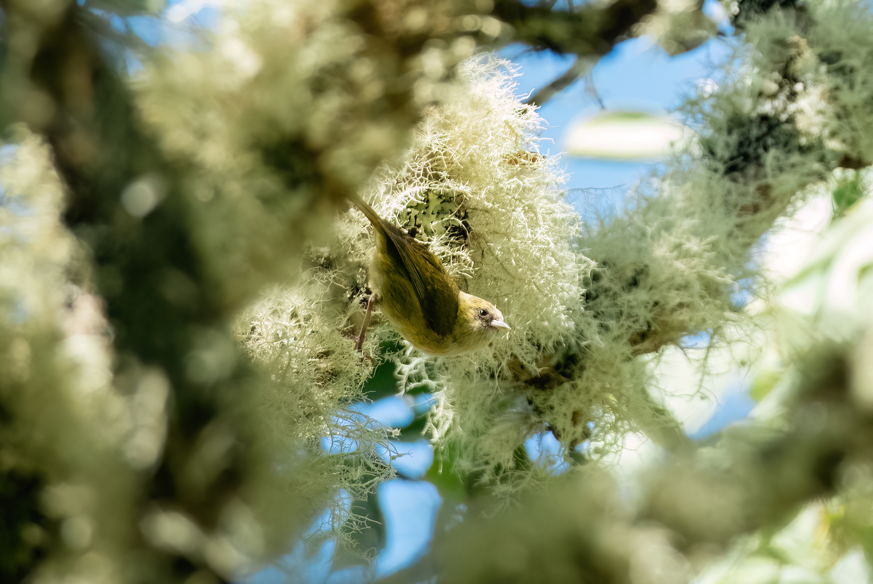 5x7 inch photo card with blank backside (one)