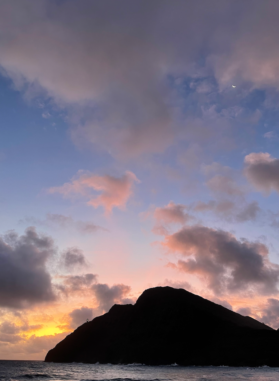 11x14 white matte with 8x10 image (one)