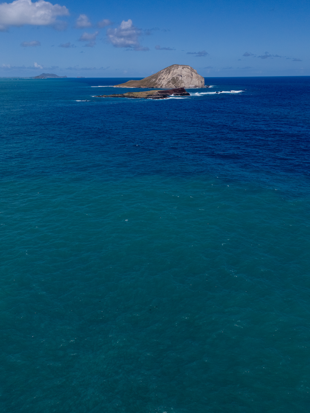 11x14 white matte with 8x10 image (one)