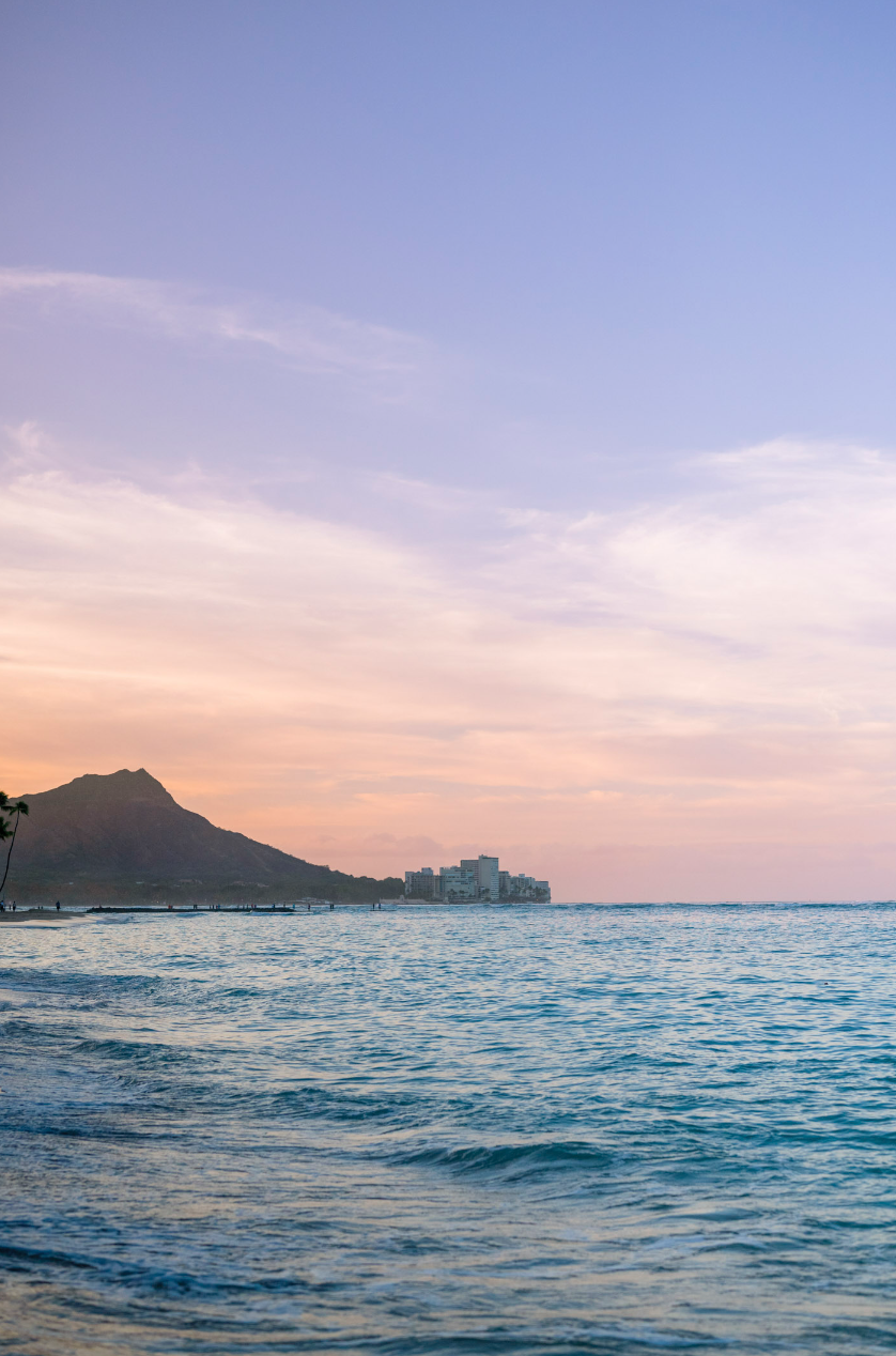 11x14 white matte with 8x10 image (one)