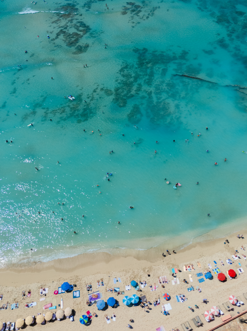 11x14 white matte with 8x10 image (one)