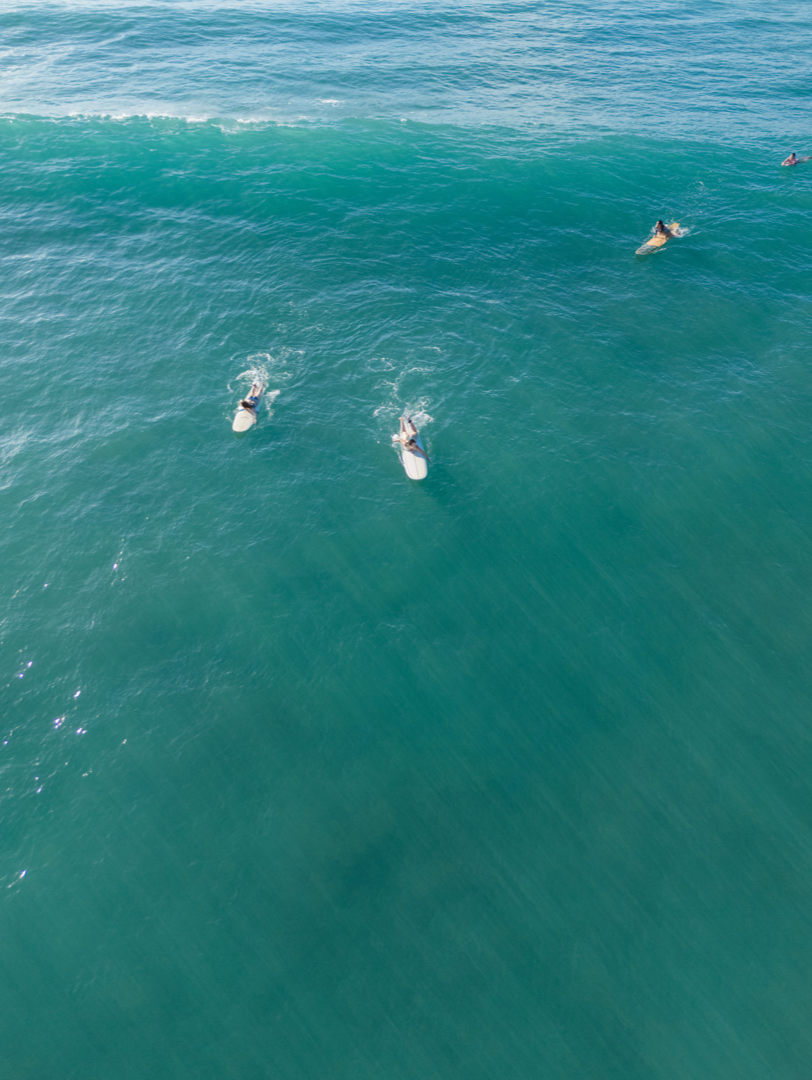 11x14 white matte with 8x10 image (one)