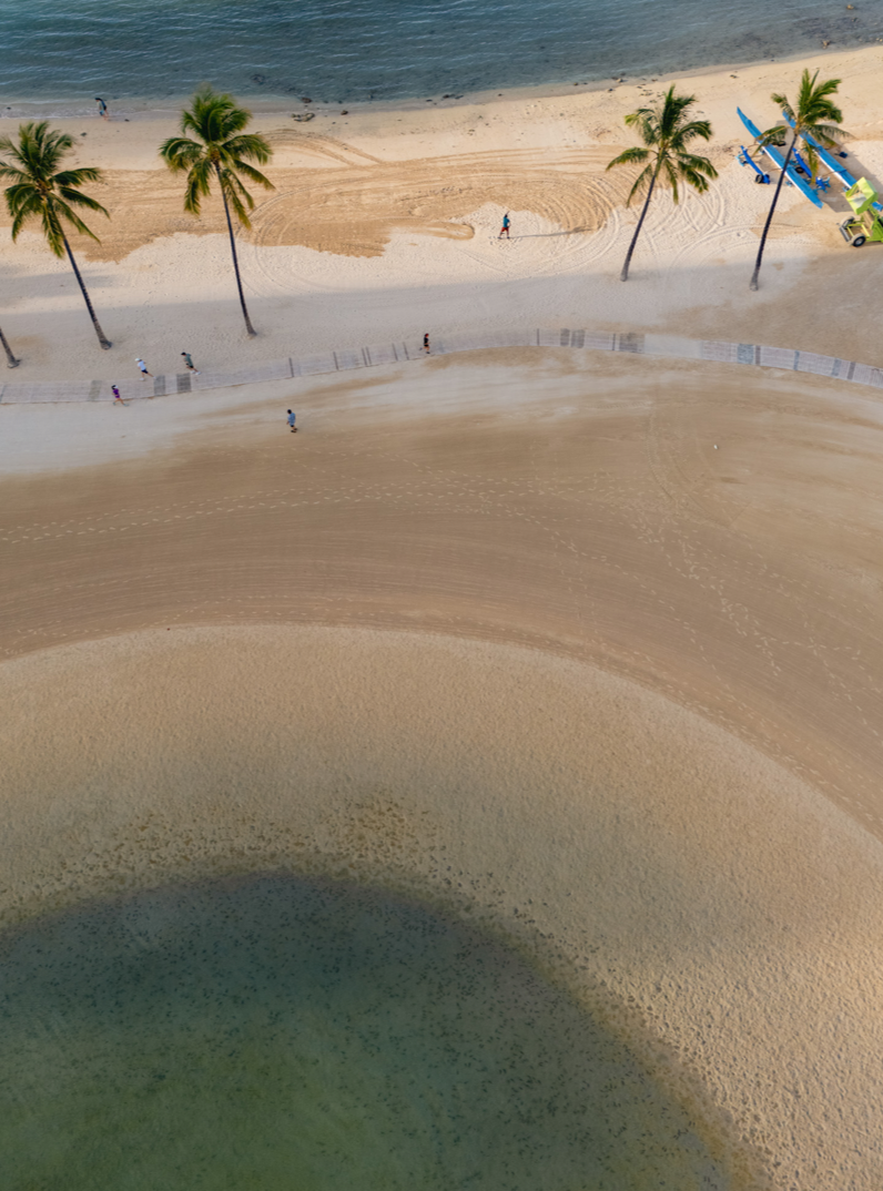 11x14 white matte with 8x10 image (one)