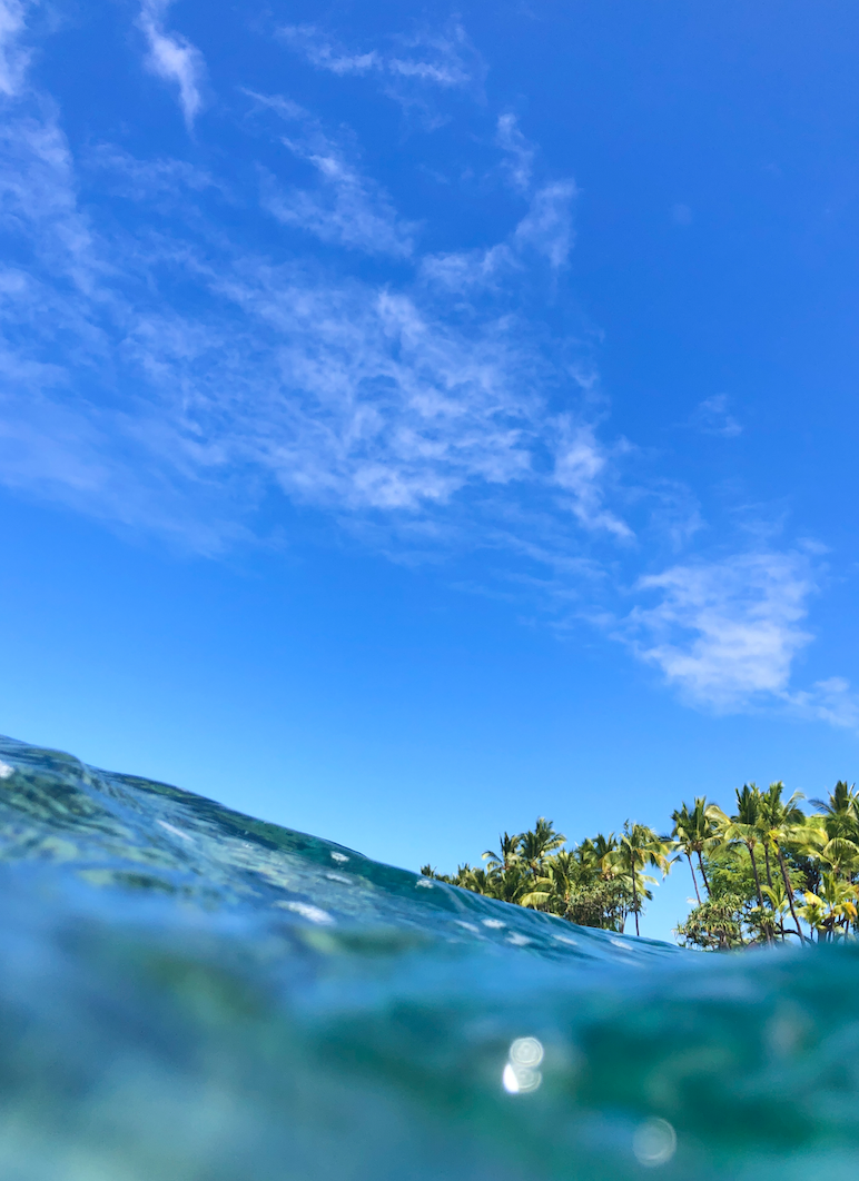 11x14 white matte with 8x10 image (one)