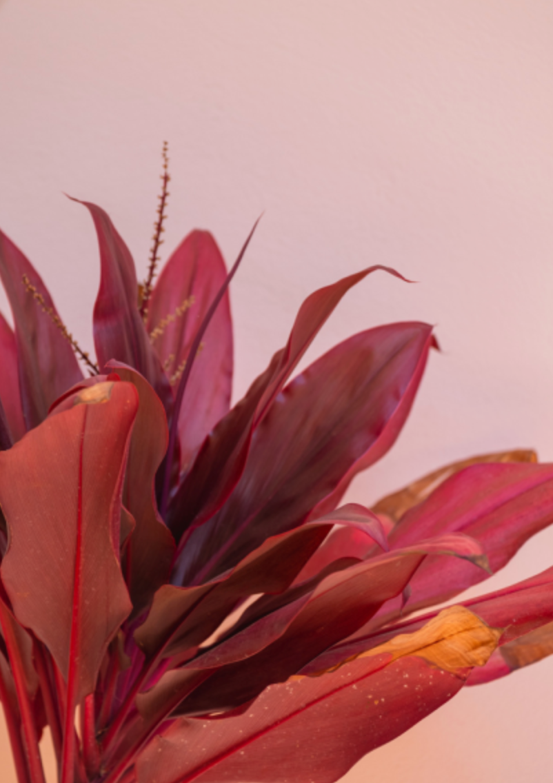 4x6 inch blank folded photo card with envelope (one)