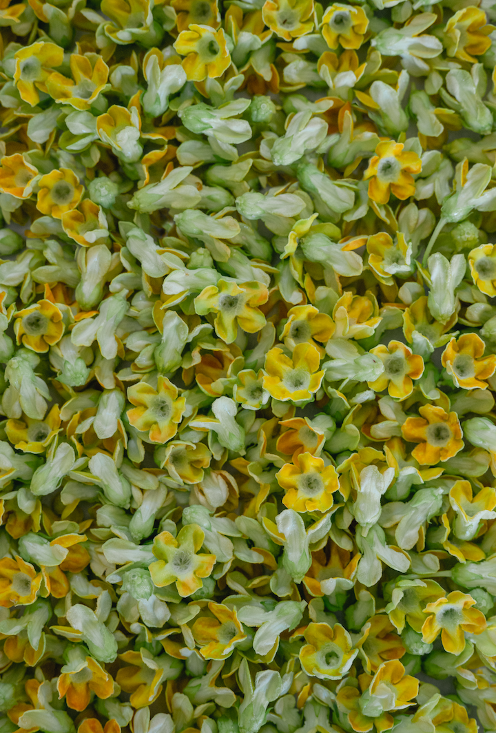 4x6 inch blank folded photo card with envelope (one)