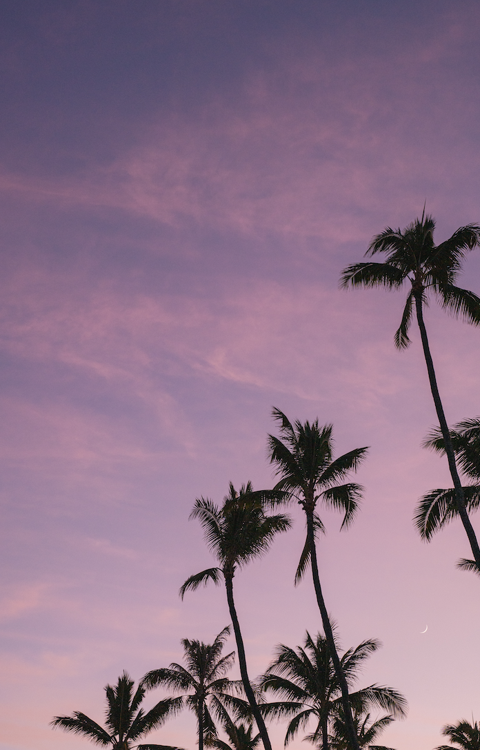 4x6 inch blank folded photo card with envelope (one)