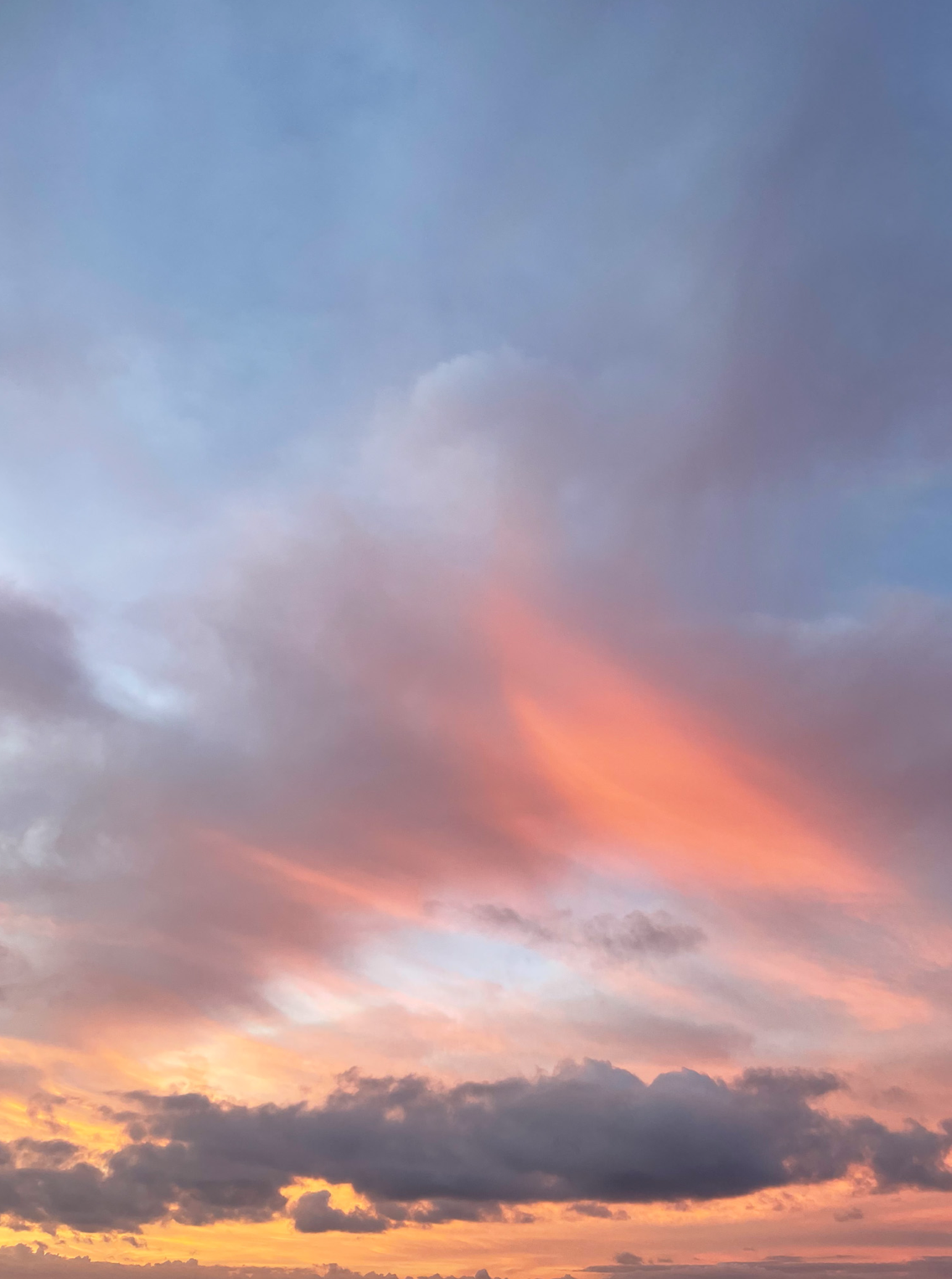 5x7 inch photo card with blank backside (one)