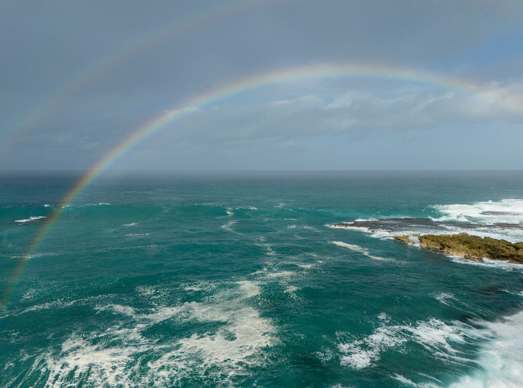 5x7 inch photo card with blank backside (one)