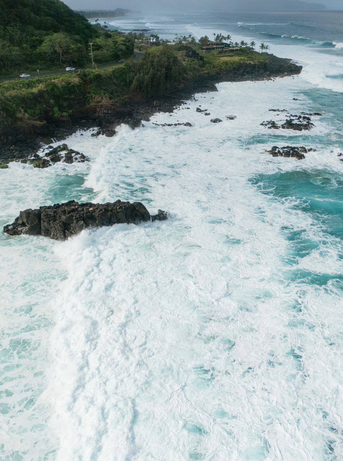 5x7 inch photo card with blank backside (one)