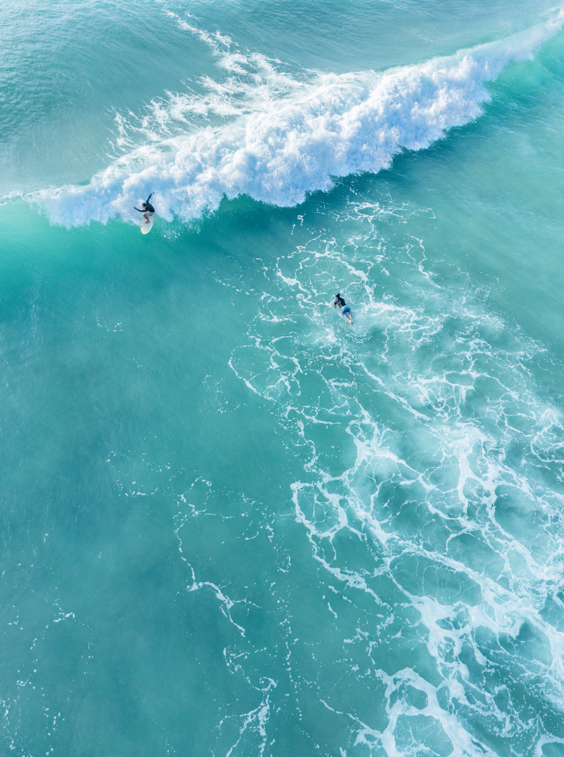 5x7 inch photo card with blank backside (one)