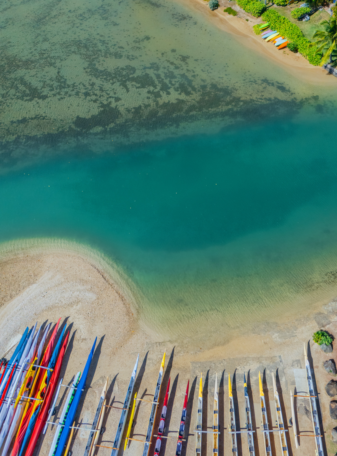 5x7 inch photo card with blank backside (one)