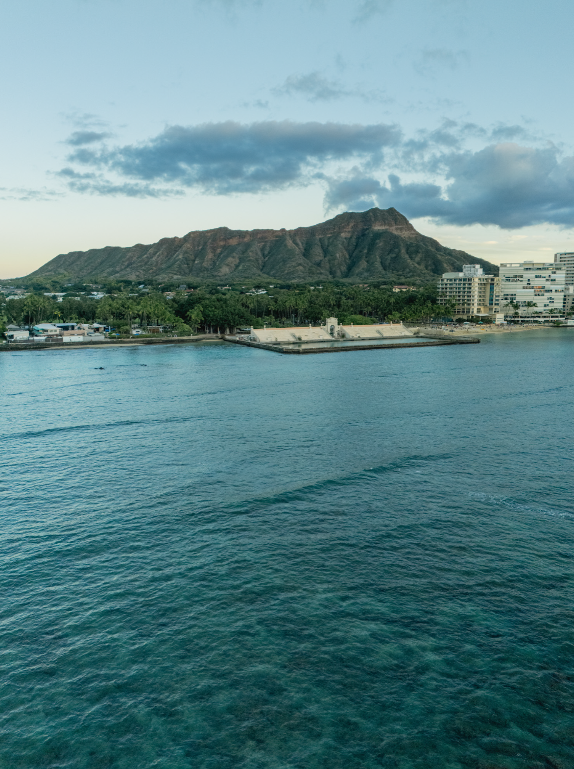 11x14 white matte with 8x10 image (one)