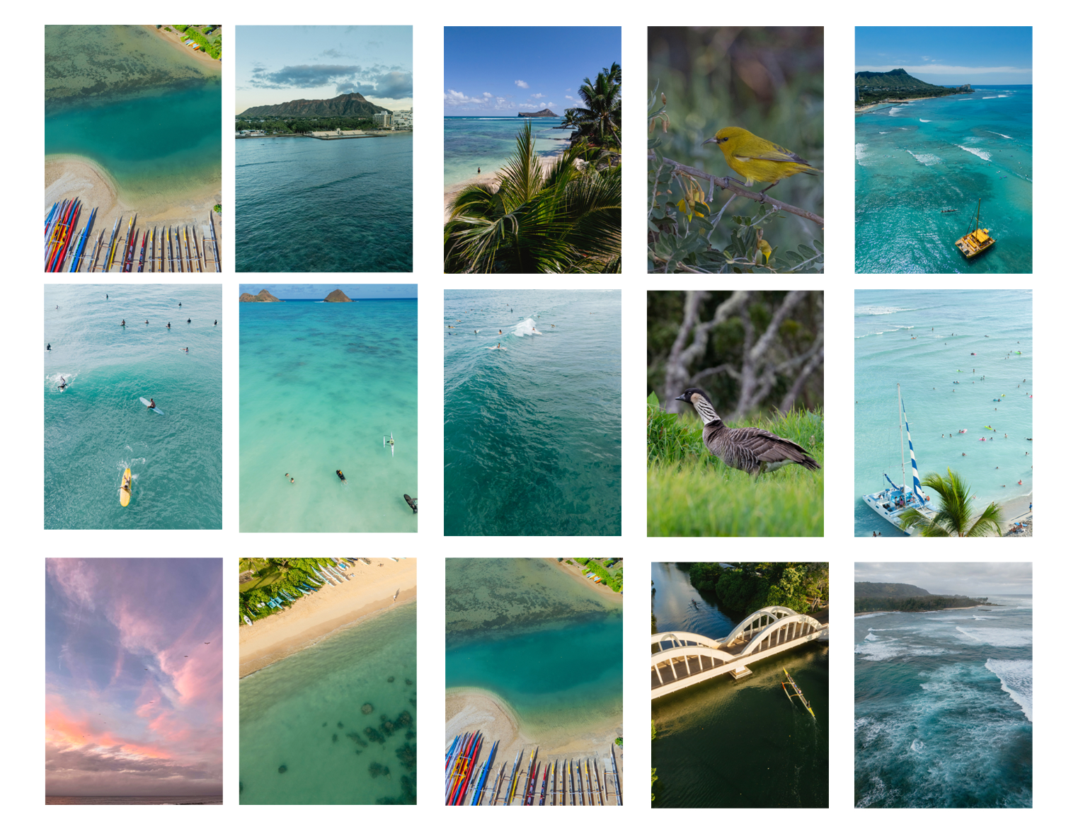 Artist Pick- Five different 5x7 inch photo cards