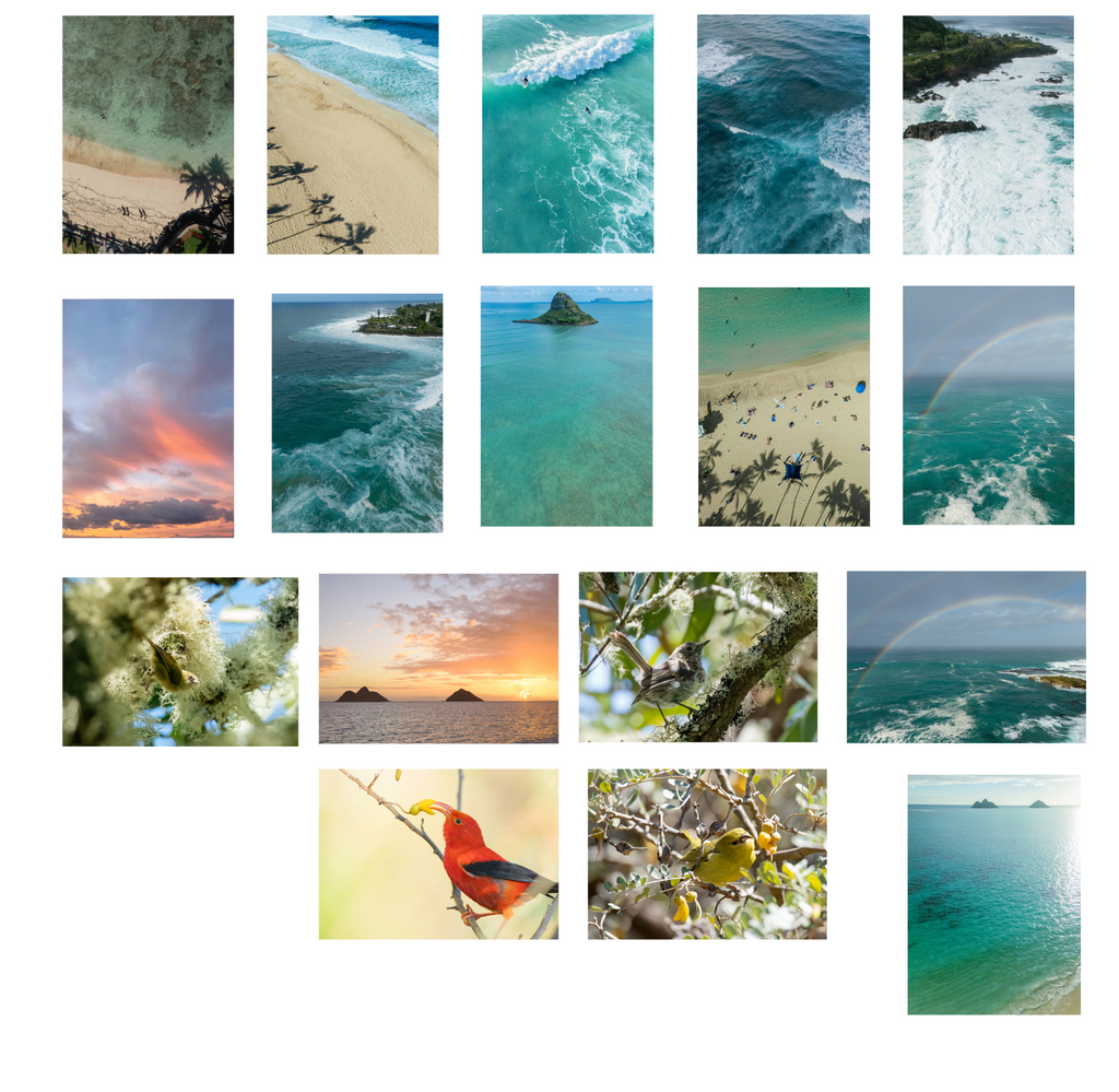 Artist Pick- Five different 5x7 inch photo cards