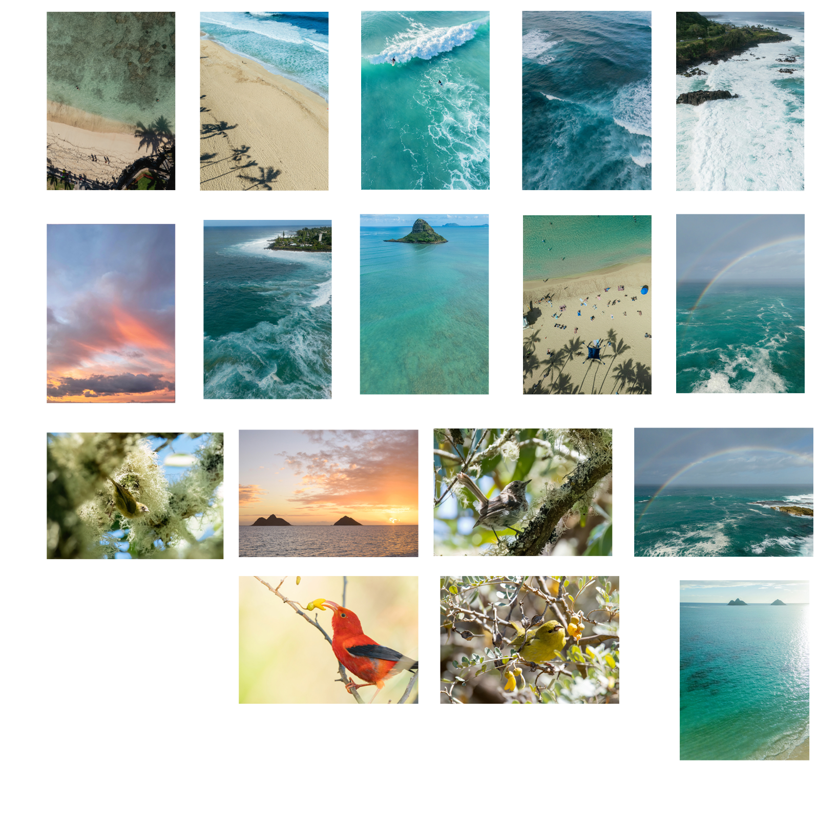 Artist Pick- Five different 5x7 inch photo cards