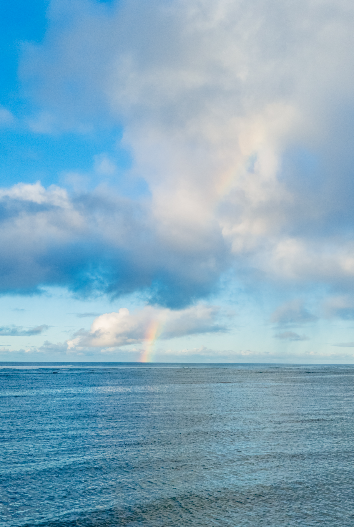 11x14 white matte with 8x10 image (one)