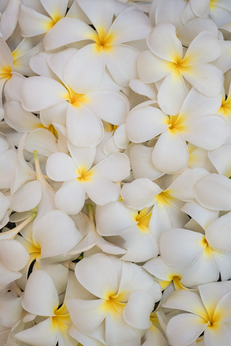 4x6 inch blank folded photo card with envelope (one)