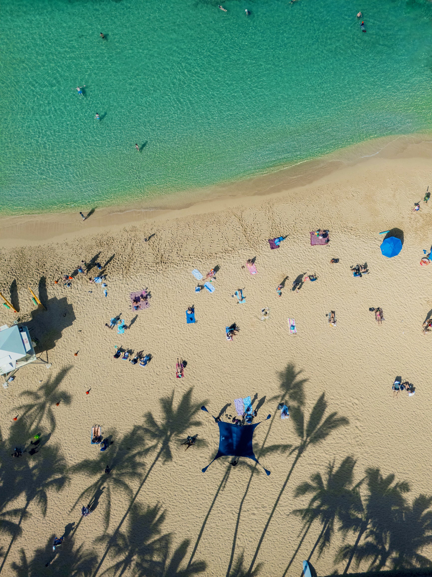 11x14 white matte with 8x10 image (one)