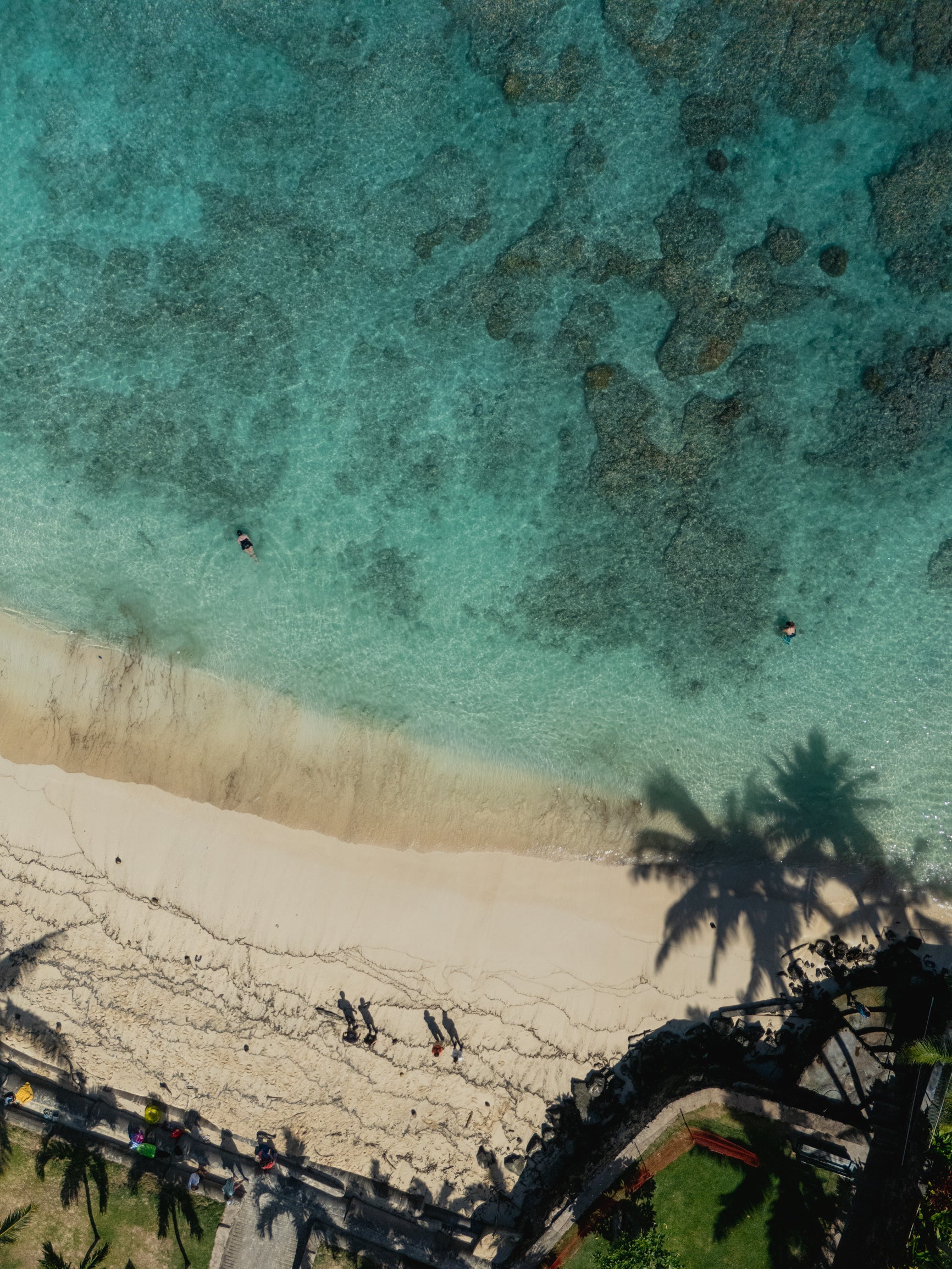 5x7 inch photo card with blank backside (one)